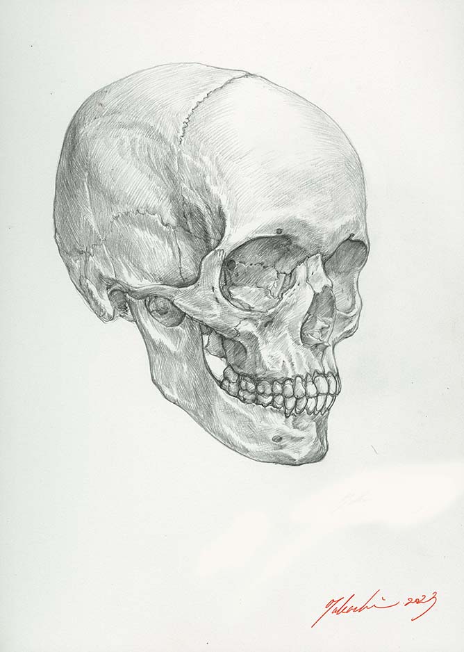 skull signature monochrome no humans solo simple background white background  illustration images