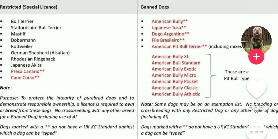 AlienPuff88's tweet photo. @BullyWatchUK This is going round on social media as the list you are proposing to the government, is it true? https://t.co/Bv1jtbL3Jc