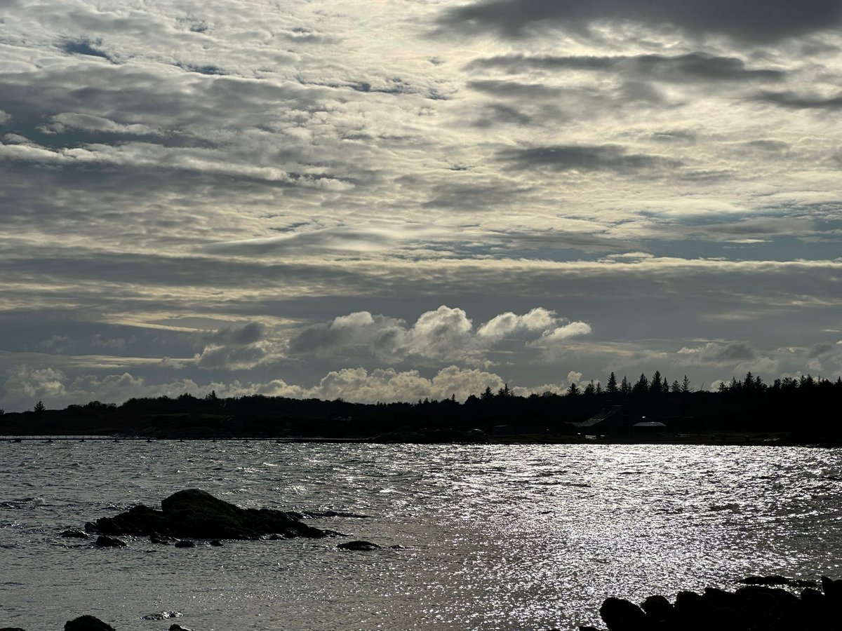 SCOTOnetwork's tweet photo. The SCOTO @TheKintyreWay Community Workshops left the community-owned isle of #Gigha and today is based in #Skipness Village Hall. A great response, and there's a strong interest in exploring different approaches to managing & promoting this stunning route. #communitytourism https://t.co/bVDarmTuHx