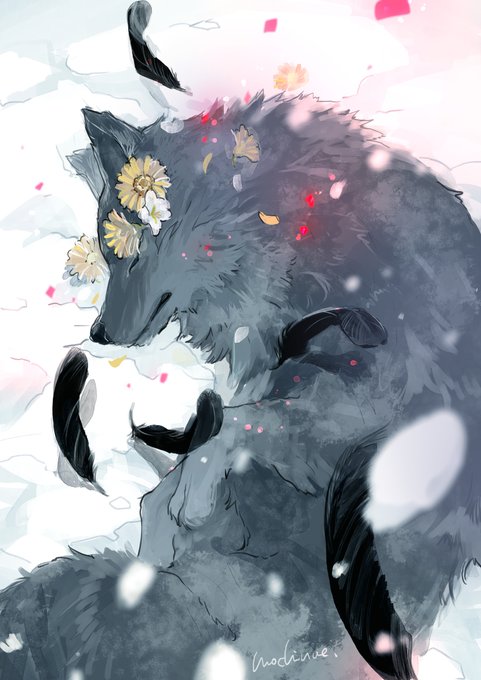 「closed eyes wolf」 illustration images(Latest)