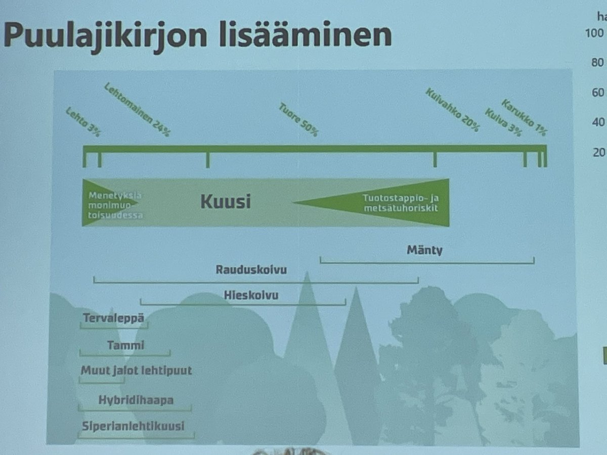 Ilmastonmuutos metsässä teemana Metsätieteiden päivänä. ”Oikea puulaji kullekin kasvupaikalle, puulajikirjon lisääminen, metsänhoito on toimenpiteiden ketju” 🌲🌳🌿@HuuskonenSaija ’n nostoja metsänhoidon näkökulmasta <a href="/LukeFinland/">Luonnonvarakeskus</a> #metsätiede2023 <a href="/MetsatSeura/">Suomen Metsätieteellinen Seura</a>
