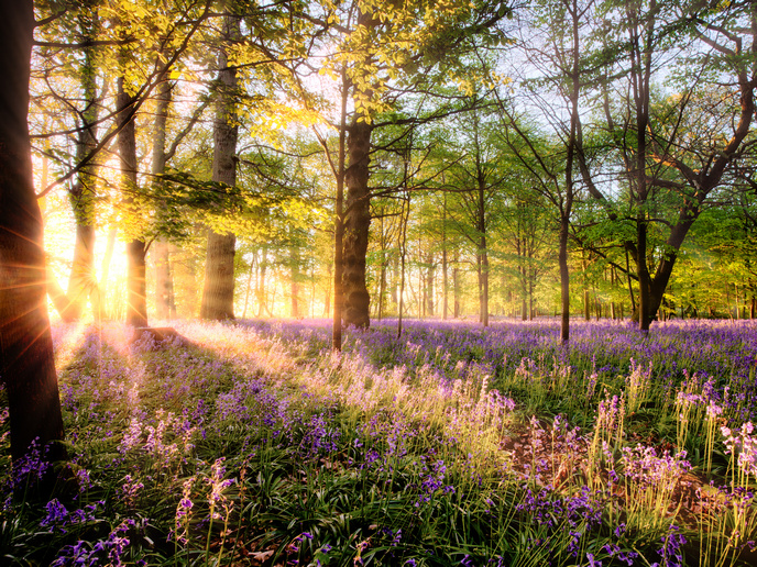 Dr Jess C Fisher (@jessjessfisher) on Twitter photo How does biodiversity help human well-being?
<a href="/EU_Commission/">European Commission</a> summarise <a href="/ERC_Research/">European Research Council (ERC)</a> led by Prof Zoe Davies, w/ <a href="/DICE_Kent/">DICE Kent</a> <a href="/JamesHuttonInst/">James Hutton Institute</a> & @SRILeeds: Environmental spaces and the feel-good factor: Relating subjective wellbeing to biodiversity (RELATE)
europa.eu/!ytdXjw How does biodiversity help human well-being?
<a href="/EU_Commission/">European Commission</a> summarise <a href="/ERC_Research/">European Research Council (ERC)</a> led by Prof Zoe Davies, w/ <a href="/DICE_Kent/">DICE Kent</a> <a href="/JamesHuttonInst/">James Hutton Institute</a> & @SRILeeds: Environmental spaces and the feel-good factor: Relating subjective wellbeing to biodiversity (RELATE)
europa.eu/!ytdXjw