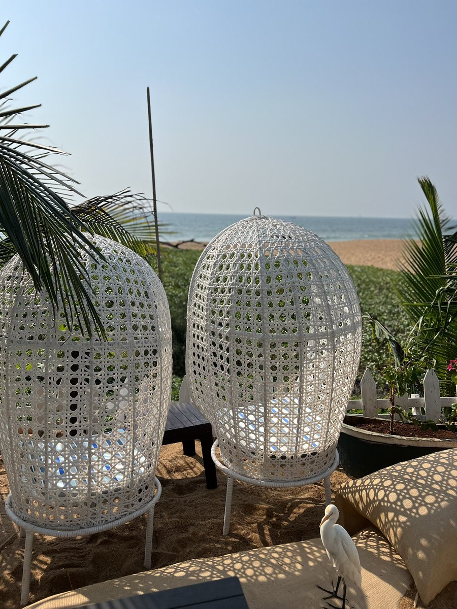 indraroy's tweet image. That State of Mind. #GoaVibes