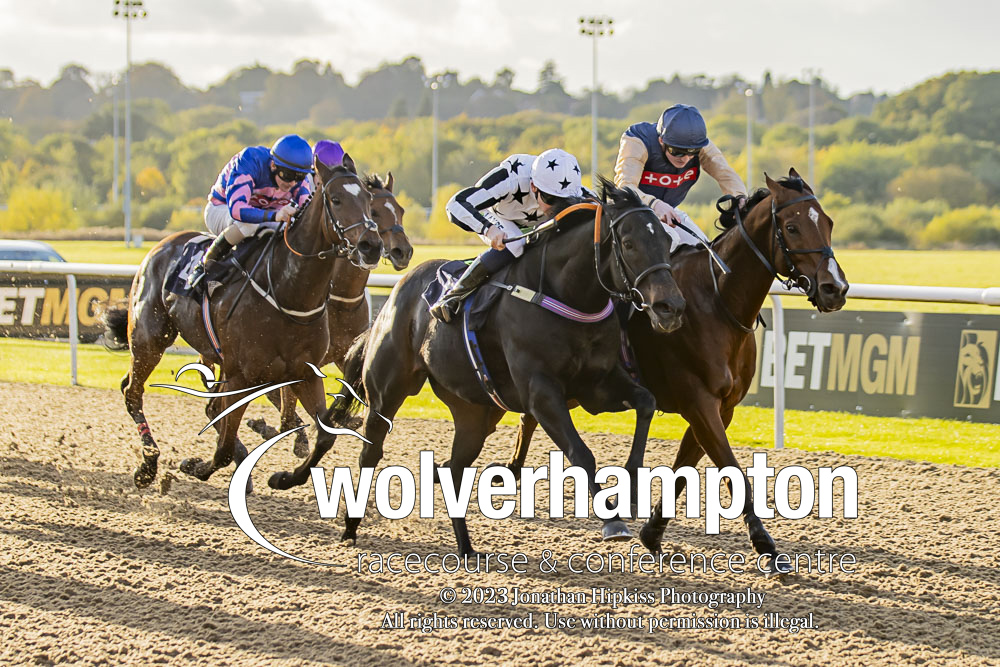 WolvesRaces's tweet photo. RACE 1 RESULT - Best Racing Odds Guaranteed At @BetMGM Handicap
π₯ Triggered
Jockey: @loughnane_billy
Trainer: Mark Loughnane
πΈ @WolvesRacesPics
#WolvesRaces | #WOLEVR https://t.co/hgsDdZq6R4