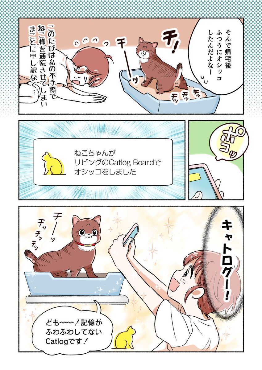 猫のくらし全自動記録装置!? 2/3 猫が大好きすぎる犬がいてもトイ.. | ちとせ さんのマンガ | ツイコミ(仮) 猫のくらし全自動記録装置!? 2/3 猫が大好きすぎる犬がいてもトイ.. | ちとせ さんのマンガ | ツイコミ(仮)