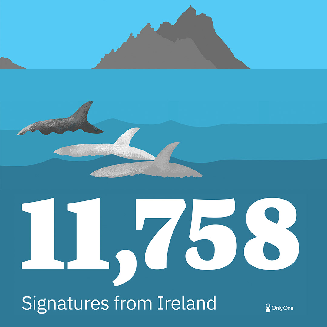 🤩11,758 signatures ahead of our important meeting today with Irish politicians in Dáil Éireann!

Thank you all for the amazing support.

We'll make sure our Government understands your call for ocean action 🙌

Keep it up only.one/act/30x30-irel… ✍️

#FairSeas
#30x30Ireland