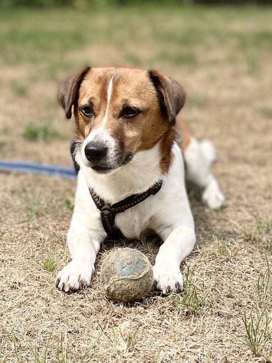 Ilse Heerman tweet media