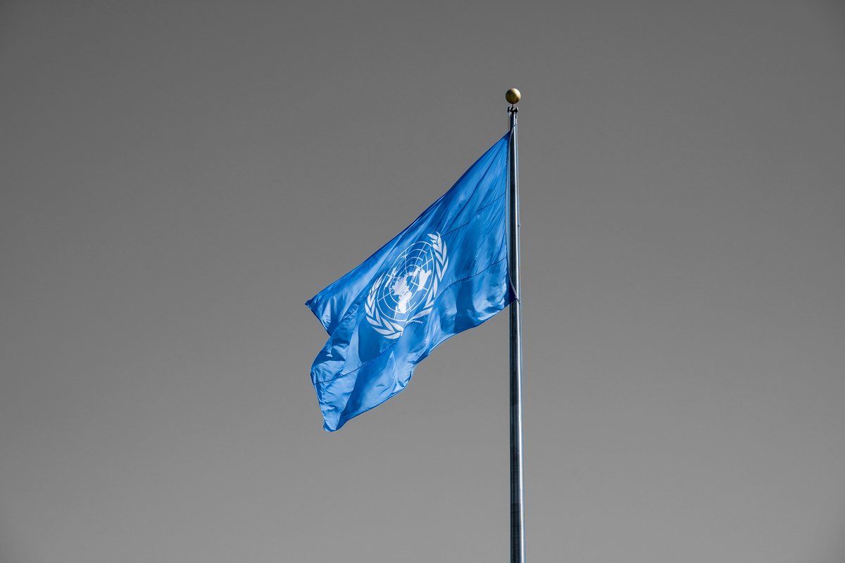 AhmedOnlf's tweet photo. The UN has completely failed to bring all nations together in peace and harmony as stated in its charter because it has become a tool in the hands of a small number of powerful countries that always put their interests before that of the rest of the world.

#UNDay https://t.co/mVSlZfgrb6
