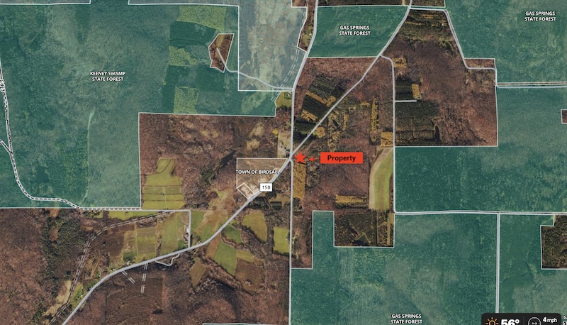 NYLandQuest's tweet image. NEWLY BUILT CABIN near Several STATE FORESTS in Birdsall NY.  This newly built cabin sits on 1 acre in Birdsall NY near Keeney Swamp State Forest and Gas Springs State Forest.  $42,900.  nylandquest.com/property/lq103… @NYLandQuest #Cabin #stateforests #NewYork