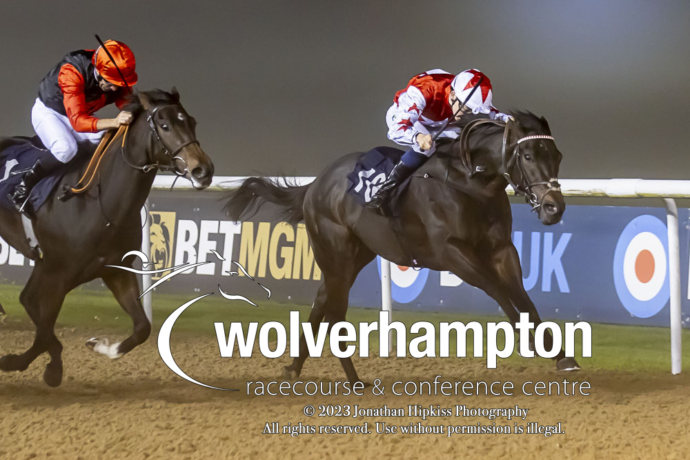 WolvesRaces's tweet photo. RACE 7 RESULT - @BetMGM Nursery Handicap
π₯ Elliott
Jockey: @loughnane_billy
Trainer: @RebeccaEMenzies
πΈ @WolvesRacesPics
#WolvesRaces | #WOLEVR https://t.co/Bmb3tOowJj