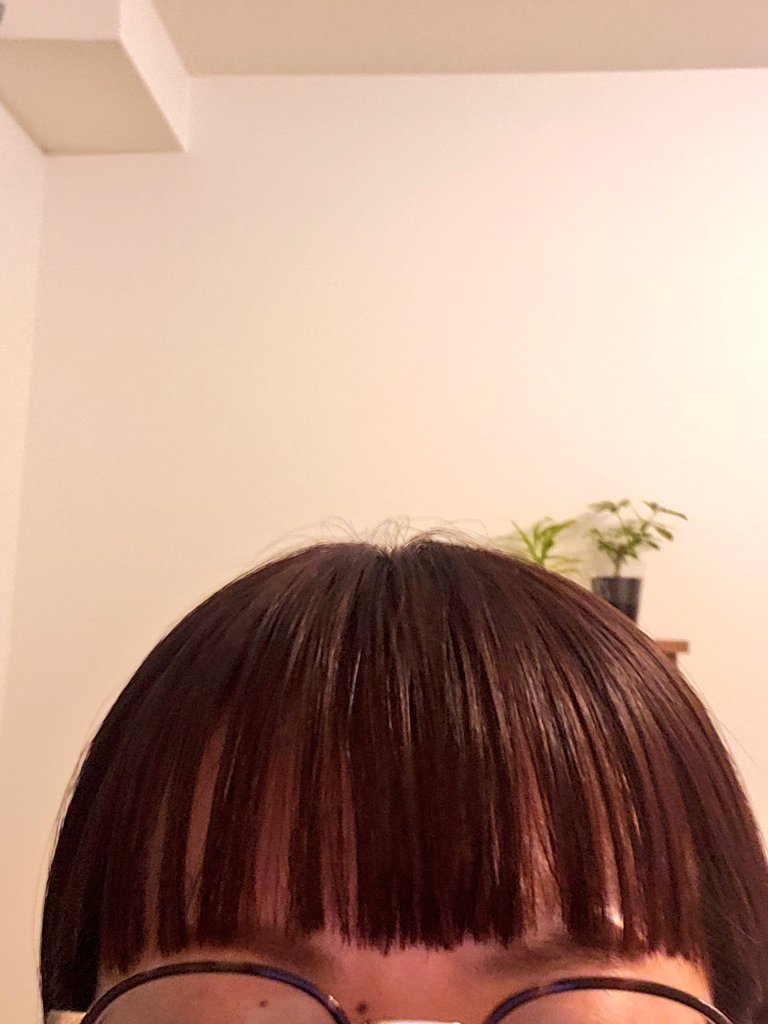 doxan_owner's tweet photo. 仕事で頭使い過ぎて熱出しました
勢いで前髪切りすぎました
生きてるって実感するなァ https://t.co/tbJvgIZWOc
