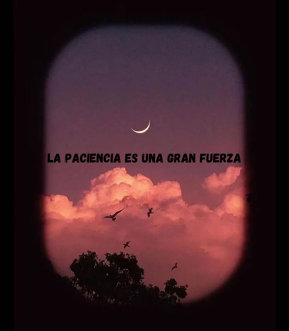 27Chule's tweet photo. Buenos días https://t.co/ScknXFSXn2