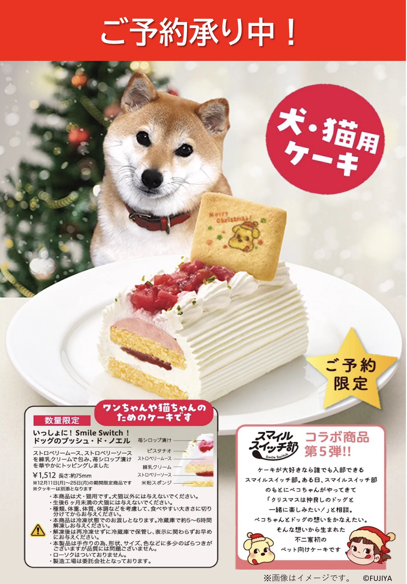 犬 用 クリスマス ケーキ