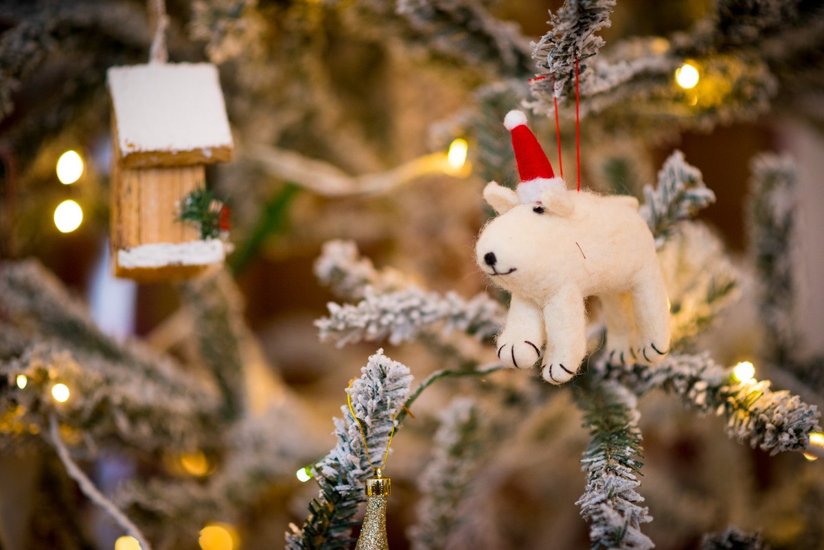 St. Tinney Farm Holidays tweet media