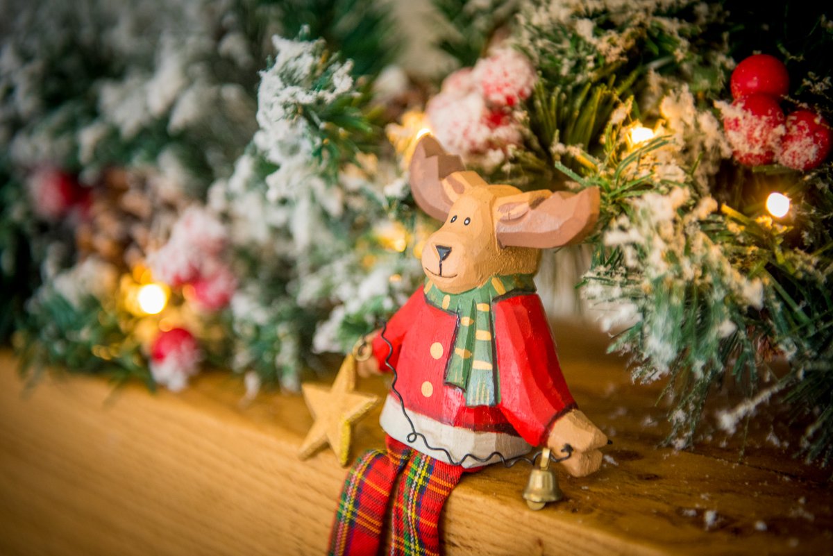 St. Tinney Farm Holidays tweet media