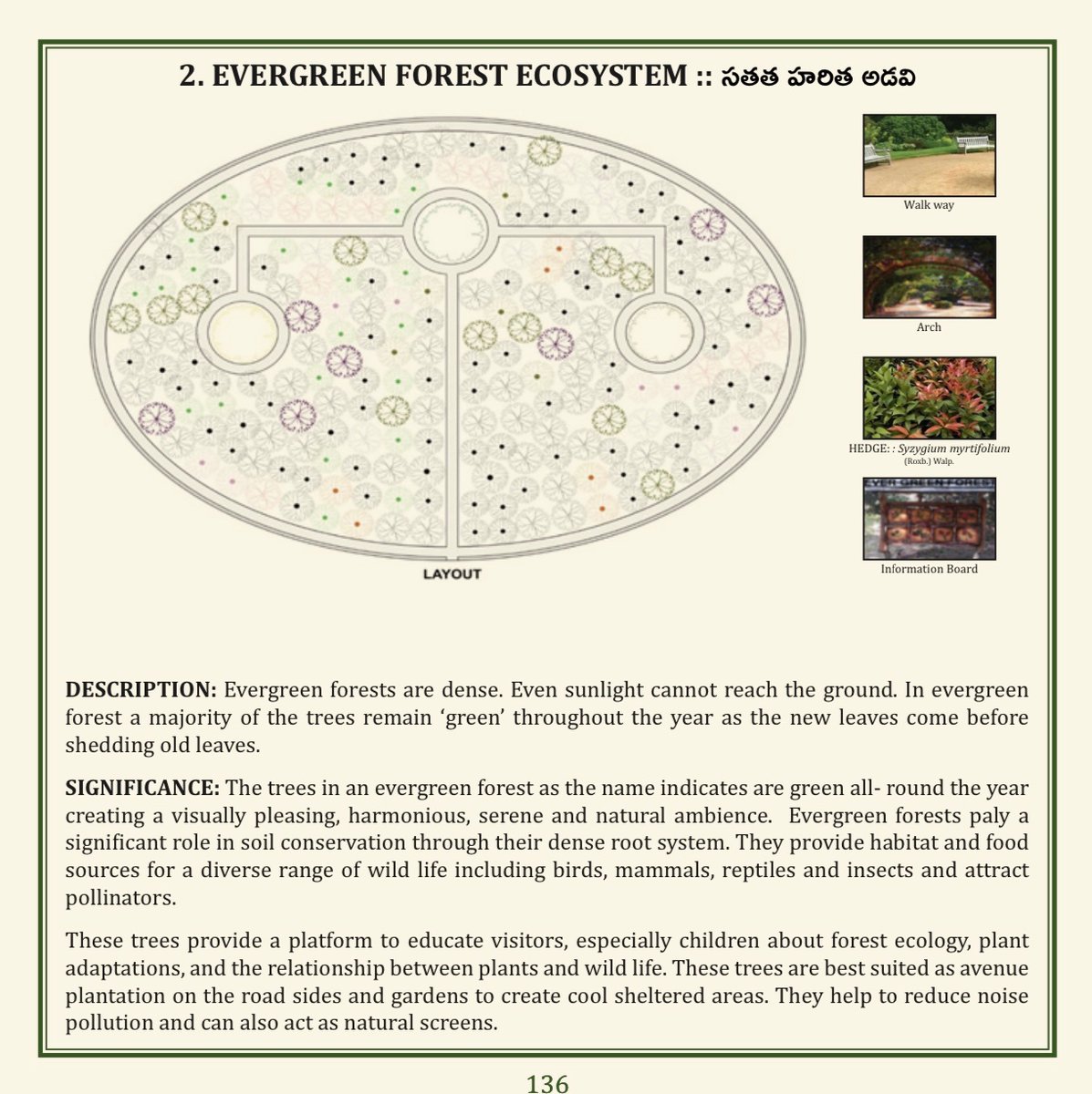 GCSReddy_IFS's tweet photo. (54/75) EVERGREEN FOREST ECOSYSTEM
@TSFDCL
@HarithaHaram
@FCRIHyderabad
@TelanganaCMO
@PMOIndia
@bsi_moefcc
@bgci
@UNBiodiversity
@FAOclimate
@UNEP
@RoyalBotanical
@IcfreIndia
@RoyalBotanical
@TreesforCities https://t.co/RJioEvkB2V