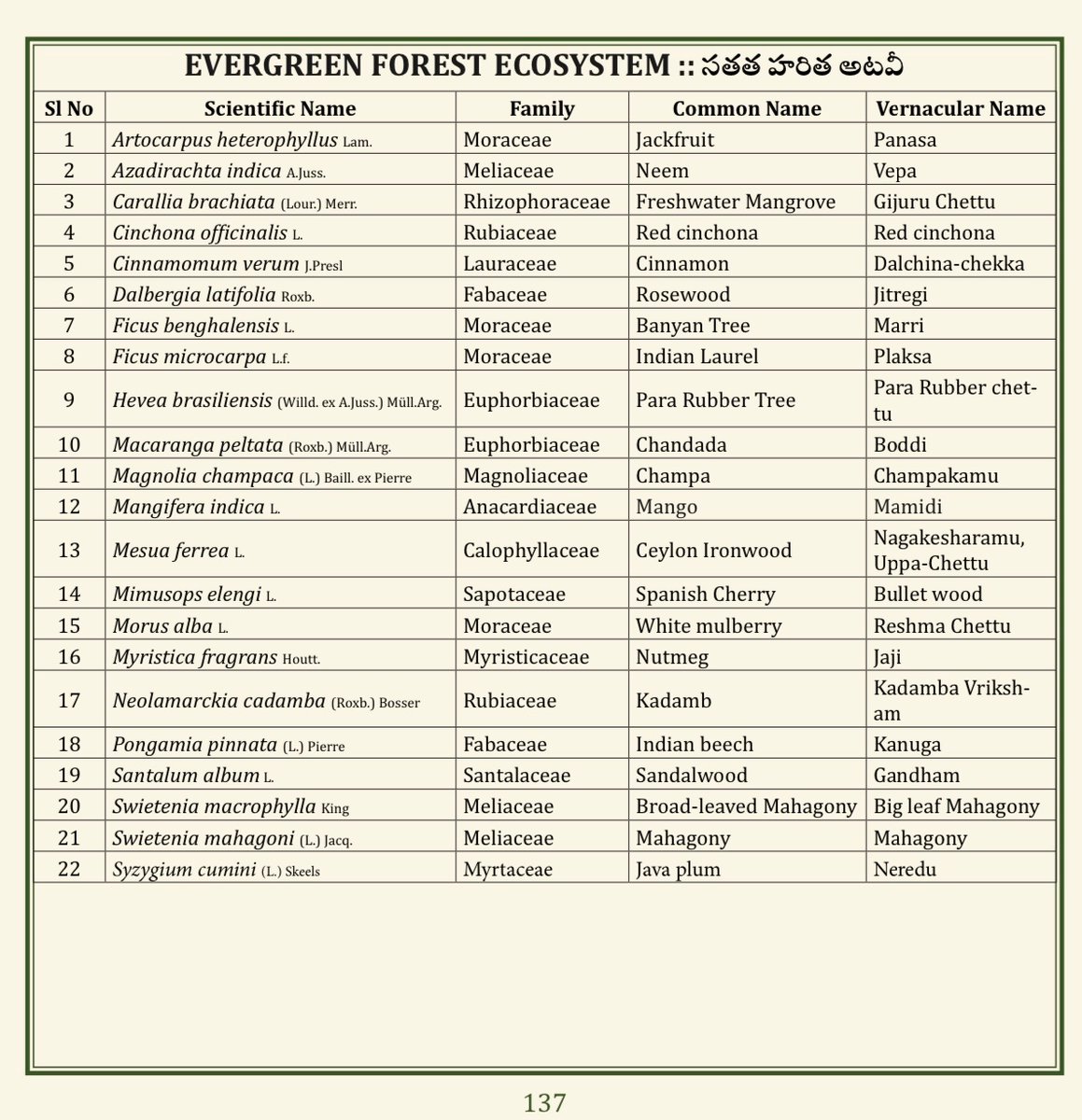 (54/75) EVERGREEN FOREST ECOSYSTEM
<a href="/TSFDCL/">Telangana Forest Development Corporation Ltd</a>
<a href="/HarithaHaram/">Telangana Forest Dept.</a>
<a href="/FCRIHyderabad/">FCRI Hyd Telangana</a>
<a href="/TelanganaCMO/">Telangana CMO</a>
<a href="/PMOIndia/">PMO India</a>
<a href="/bsi_moefcc/">Botanical Survey of India</a>
<a href="/bgci/">Botanic Gardens Conservation International</a>
<a href="/UNBiodiversity/">UN Biodiversity</a>
<a href="/FAOclimate/">FAO Climate Change & Biodiversity</a>
<a href="/UNEP/">UN Environment Programme</a>
<a href="/RoyalBotanical/">Royal Botanical</a>
<a href="/IcfreIndia/">Indian Council of Forestry Research and Education</a>
<a href="/RoyalBotanical/">Royal Botanical</a>
<a href="/TreesforCities/">Trees for Cities</a>