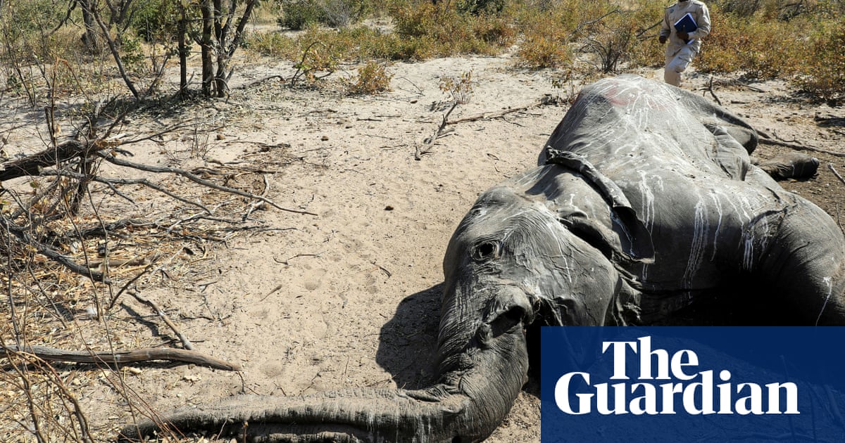 Scientists discover why dozens of endangered elephants dropped dead dlvr.it/SxwTlj