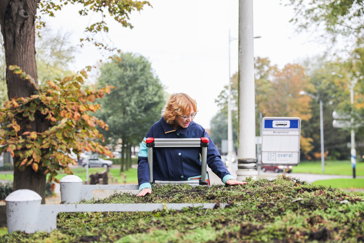 Global Media & Entertainment tweet media