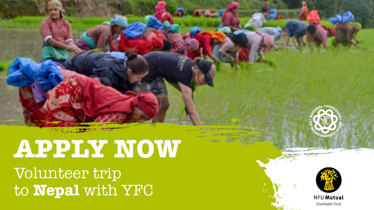 NFYFC is offering #YFC members the chance to volunteer in Nepal for 2 weeks on our trip with <a href="/projectsabroad/">Projects Abroad</a>. 

Members will support rural and farming communities and explore this South Asian country. 

 👉nfyfc.org.uk/volunteer-in-n…

Thanks to <a href="/nfum/">NFU Mutual</a> for supporting YFC Travel.