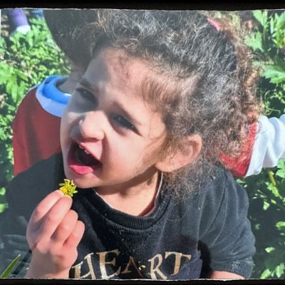 BRING ABIGAIL HOME!

Die Eltern der dreijährigen Abigail wurden von Hamas-Terroristen hingerichtet.

Sie wurde aus ihrem Haus in Kfar Azza entführt und wird vermutlich von Hamas-Terroristen im Gaza-Streifen als Geisel gehalten.

#BringThemHome #BringOurFamiliesHome