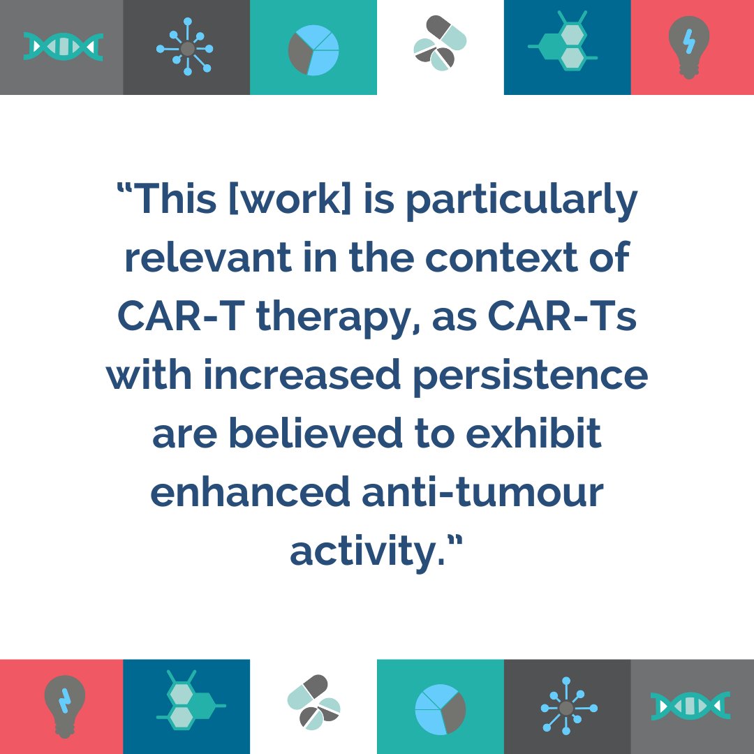 Discover the paper that explores the role of mSWI/SNF family chromatin remodelling complexes in regulating the mechanisms of T cell activation and exhaustion in our recent summary of the most interesting and impactful #CancerResearch work: magazine.eacr.org/highlights-in-…