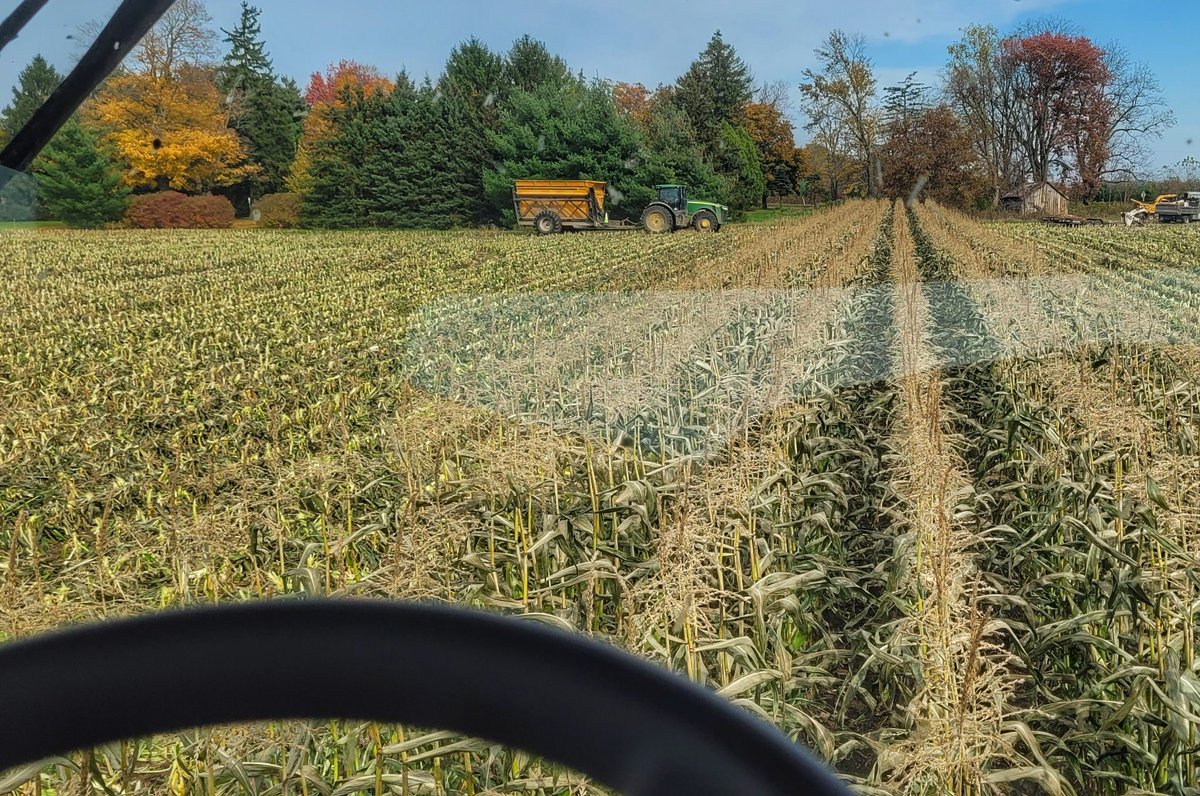 blaramie4955's tweet photo. The last set of 🌽🌽🌽 rows!!!! See ya later #SweetCorn2023!!!! 🏁🏁 #Oxbo8530 #JD8245R #SweetCorn2023 #Nortera #Bonduelle #OxboInternational #OxboIsAg #Niblets Komoka, ON 🇨🇦🇨🇦 https://t.co/tIjb7mznoG