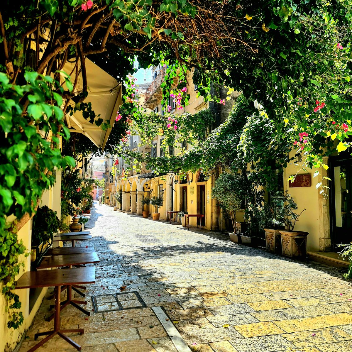 Dinah Jefferies tweet media