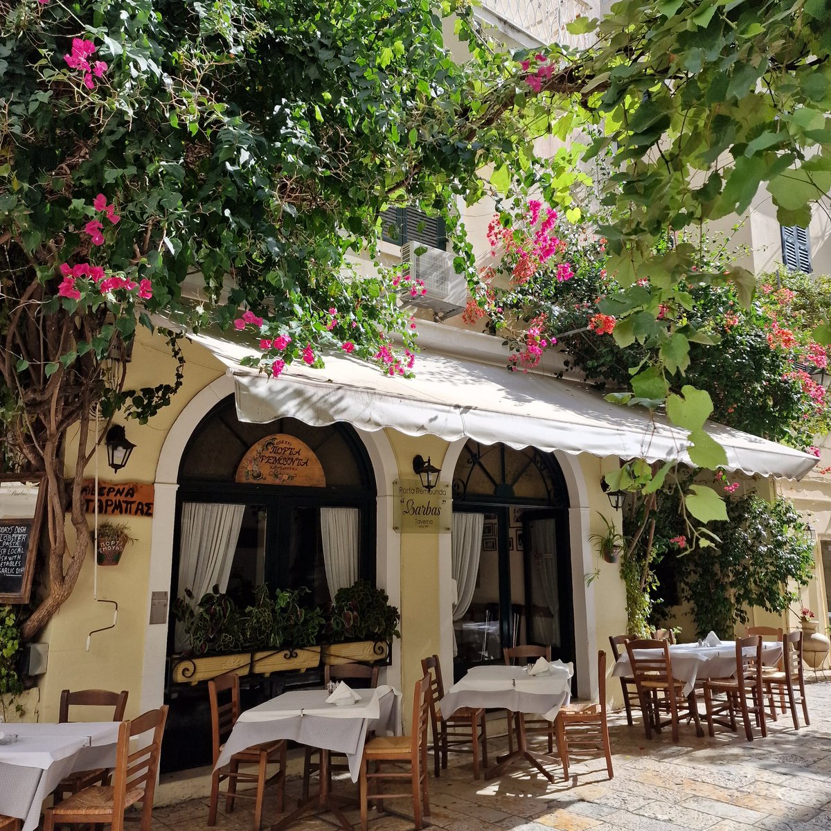 Dinah Jefferies tweet media