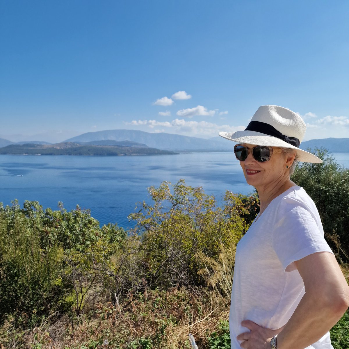 Dinah Jefferies tweet media