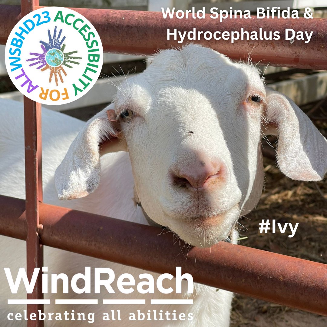 WindReachBDA's tweet photo. 1/2 🥰 Happy World Spina Bifida &amp; Hydrocephalus Day! This year's theme is 'ACCESSIBILITY FOR ALL'. 

👉🏿 Ensuring accessibility is of paramount importance for the #SpinaBifida and #Hydrocephalus community. 

#WSBHD23 @ifsbh #WorldSpinaBifidaDay https://t.co/SN9wHOilbd