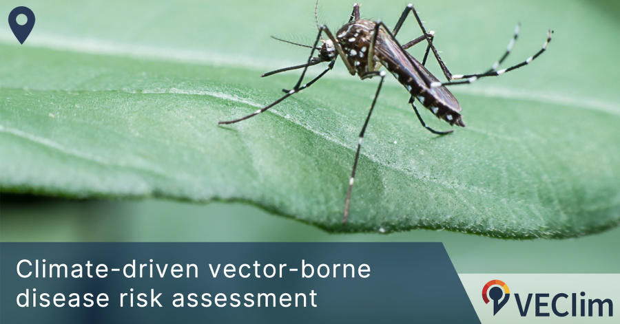 VEClim promotes mathematical modelling to predict climate-sensitive vector activity and disease risk. Check out what our models say about the Asian tiger mosquito activity in your region
veclim.com <a href="/afmartinou/">kelly Martinou</a> <a href="/FJColon/">Felipe Colón</a> <a href="/aedescost/">aedescost</a> <a href="/WilliamWint/">William Wint</a> <a href="/hu_vErg/">vErg-Vector Ecology Research Group</a>