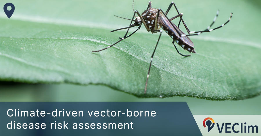 VEClim promotes mathematical modelling to predict climate-sensitive vector activity and disease risk. Check out what our models say about the Asian tiger mosquito activity in your region veclim.com @afmartinou @FJColon @aedescost @WilliamWint @hu_vErg