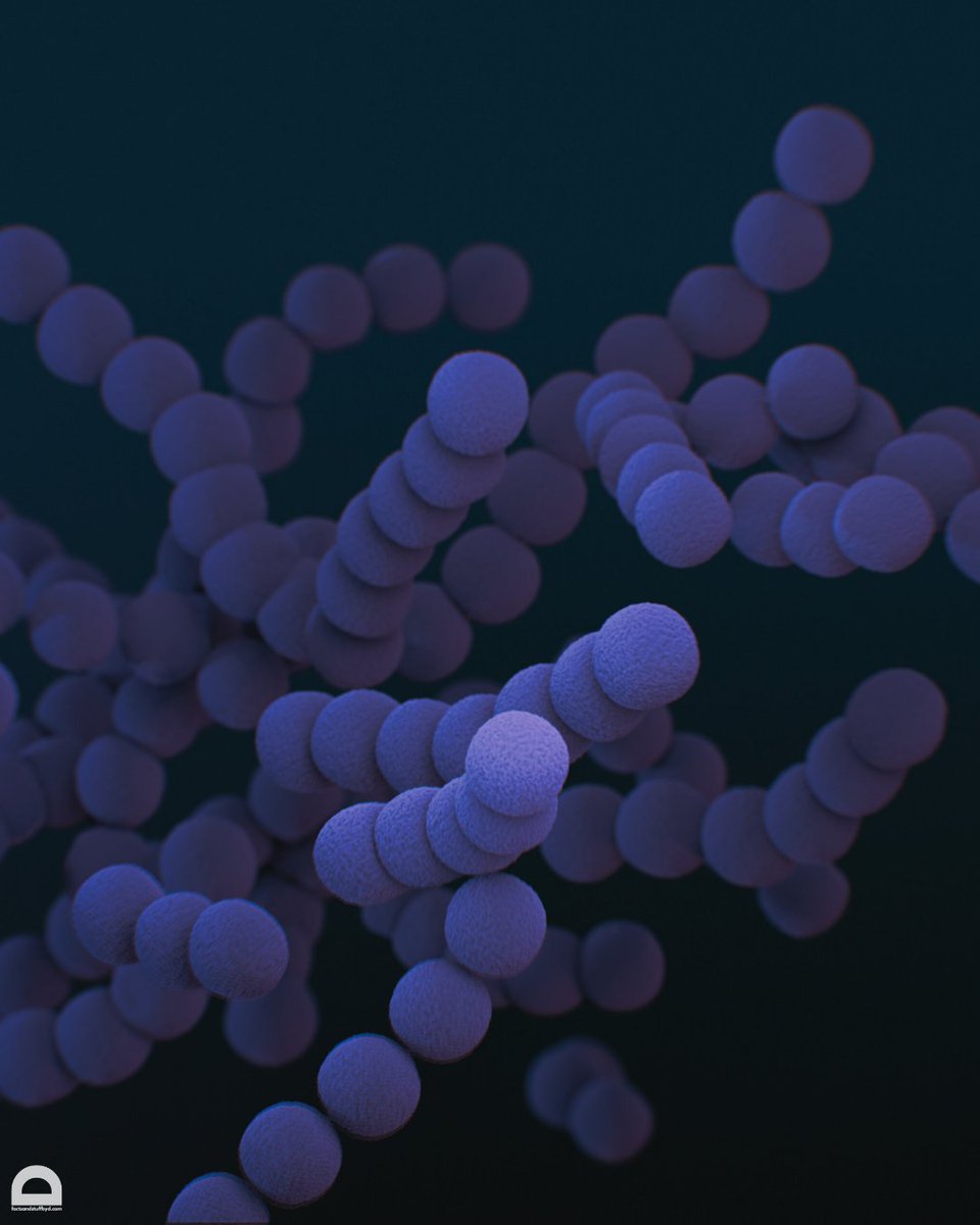 DsFactsandstuff's tweet photo. Evolution of Antibiotic Resistance: Overuse of antibiotics has led to the evolution of antibiotic-resistant bacteria, posing a significant public health challenge.

#biology #microbiology #Microbiologia https://t.co/iSP7VxJyx3