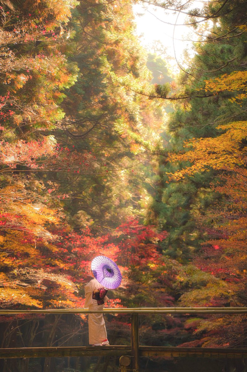 紅葉には和が似合う。