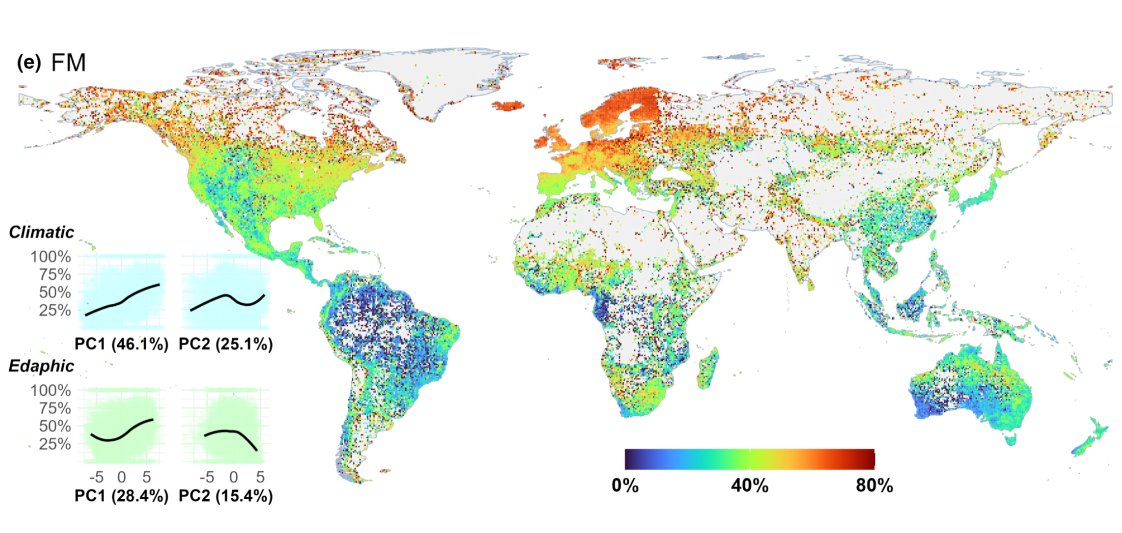 Our new paper is out in Eco Letters! bit.ly/GlobMyco

w 100mil occs (11k sp.) we show the phylogenetic, climatic + soil correlates of mycorrhyizal traits. 

Environment explains myco. traits > than we thought: huge implications for ecosystems w changing climate.

DM 4 pdf