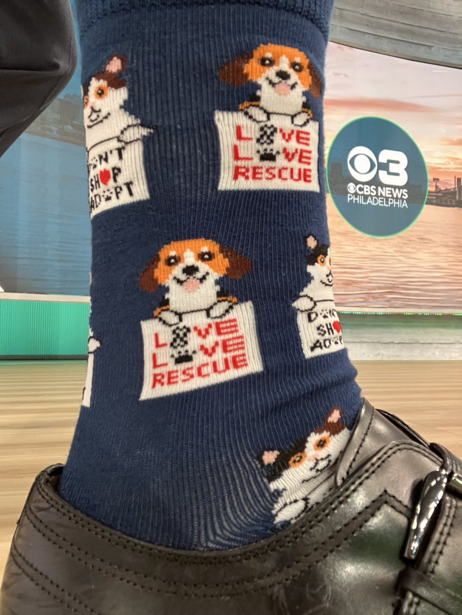 Today’s #JimSocks … adopt don’t shop! #PetAdoption