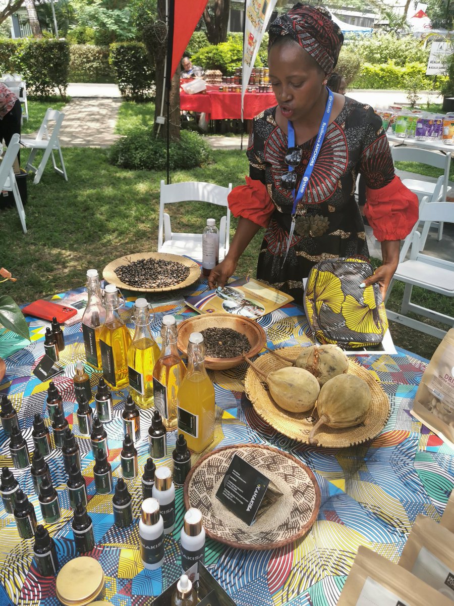 DCA Zimbabwe tweet media