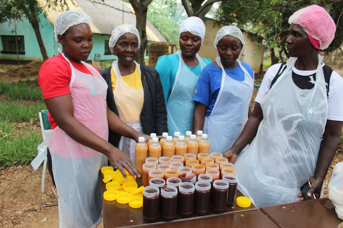 Fambidzanai Permaculture Centre ZWE tweet media