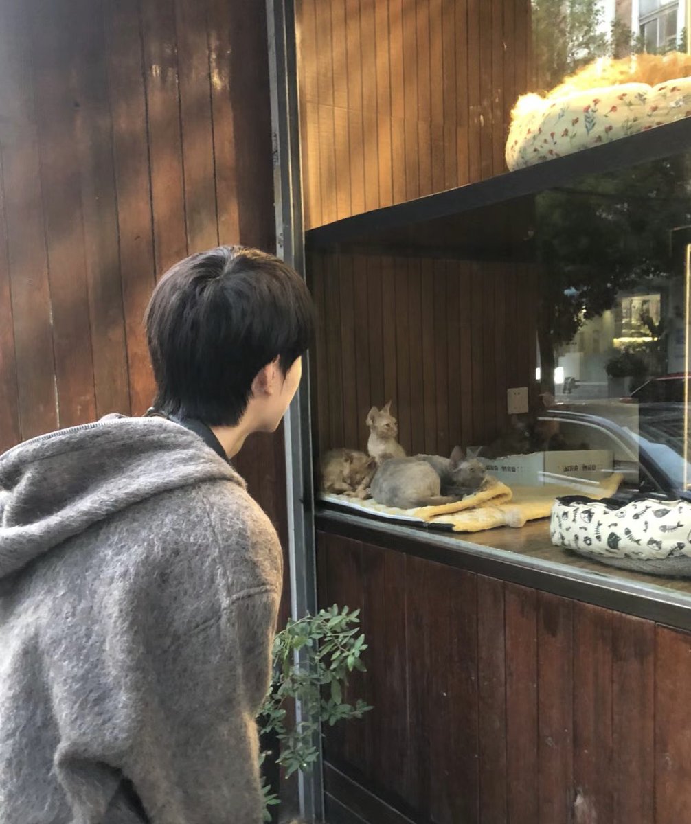 Allking123456's tweet photo. 好累啊妈的 想赶紧回北京 https://t.co/HCoK3jp8lp