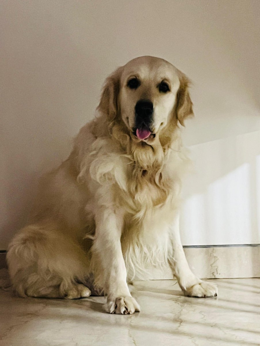 bacio_the's tweet photo. Did you say something to me….. https://t.co/lM4UuBL2Id