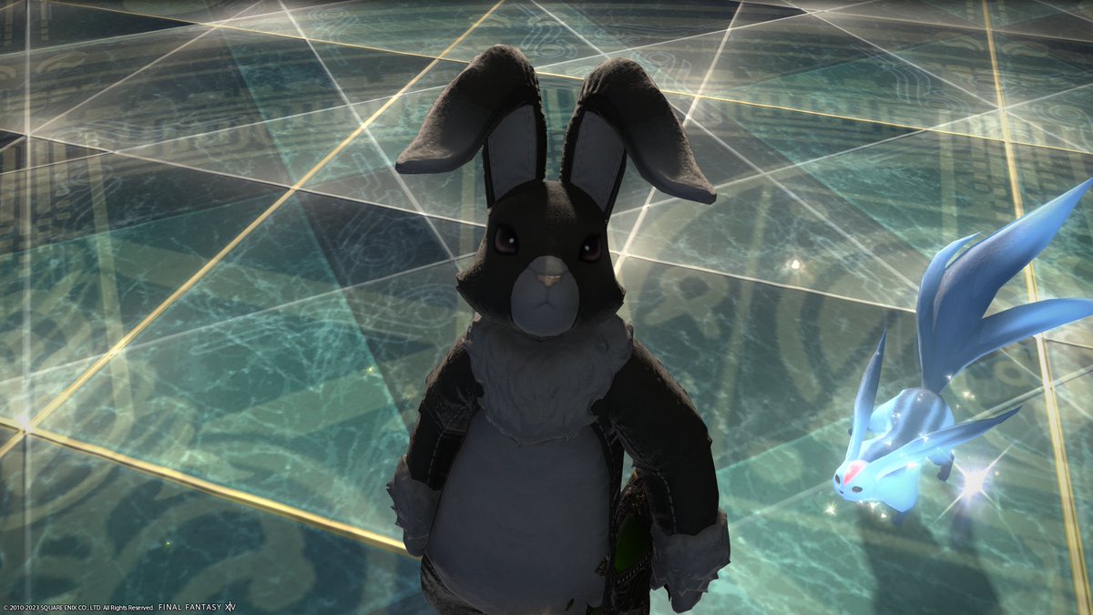 FF1485772219's tweet photo. やっぱりうさぎの着ぐるみが一番かわいいんだ
#FF14　#ミコッテ https://t.co/mWfroadJp9