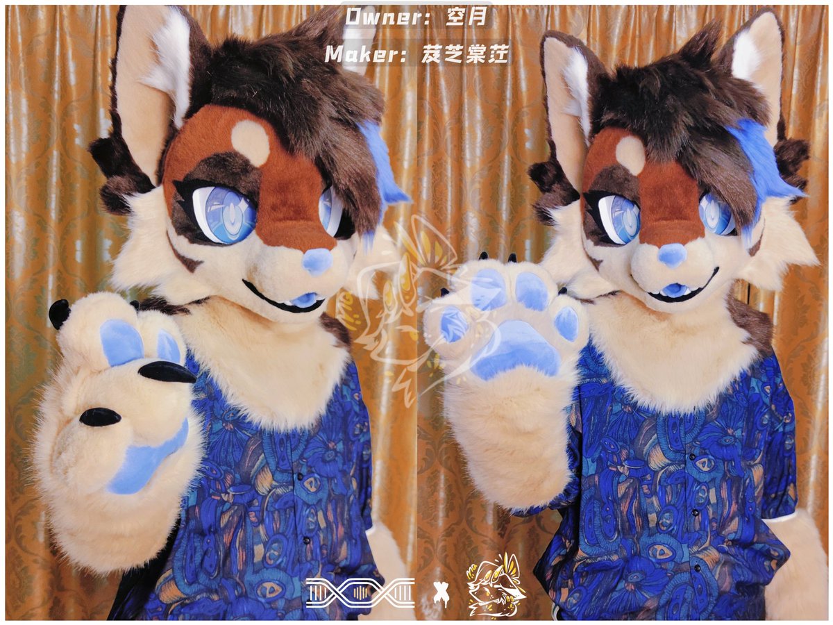 小狼招手🐺🐾🐾
#fursuit