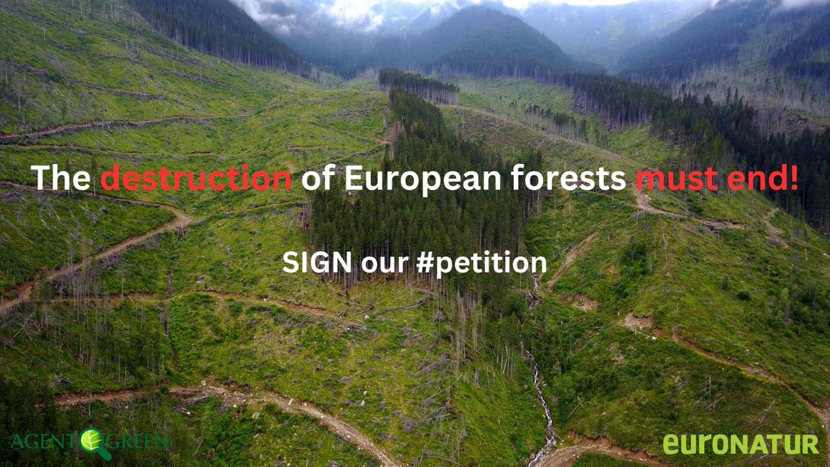 EuroNaturORG's tweet photo. 🗣️ YOUR VOICE for #Europe's forests! 🌳 🌲

https://t.co/KTbiwLGKj6

End the destruction of Romanian and European #forests, @VSinkevicius! 🛑, demands the #petition which was launched today.
 
SIGN and SHARE the petition letting the EU know you do not stand for this destruction! https://t.co/UIBSToznlU