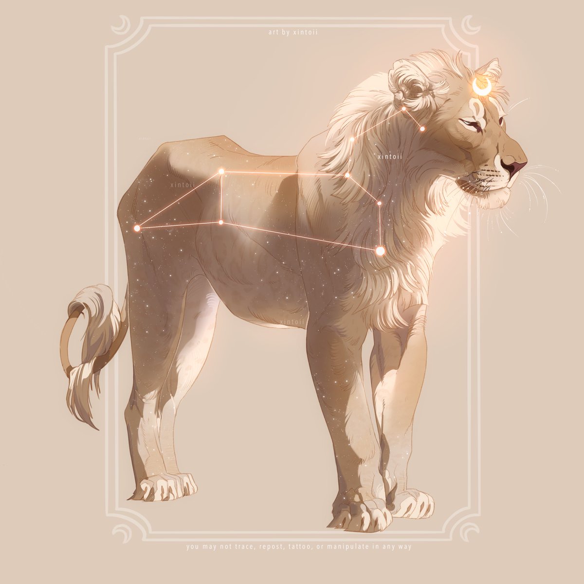 no humans animal focus crescent animal full body constellation lion  illustration images