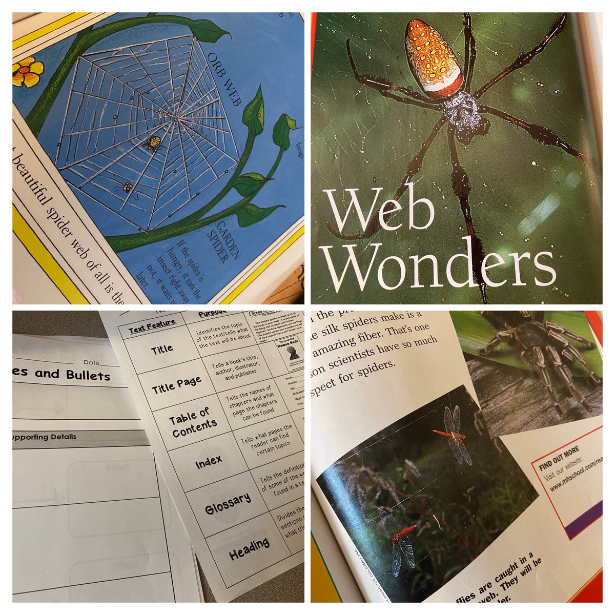 LJohnsonTeacher's tweet image. Did you know that the Osage tribe members were skilled weavers? We will learn more about indigenous tribes on our field trip to the @nelson_atkins! Studying spiders using nonfiction text features, cause and effect, and animal adaptations! @3TrailsTigers #isdstrong #artofteaching