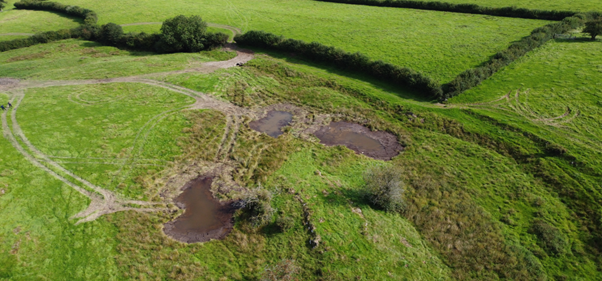 South Cumbria Rivers Trust tweet media