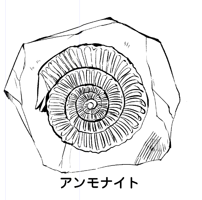 懇切丁寧にアンモナイト書いてる…。なぜ…