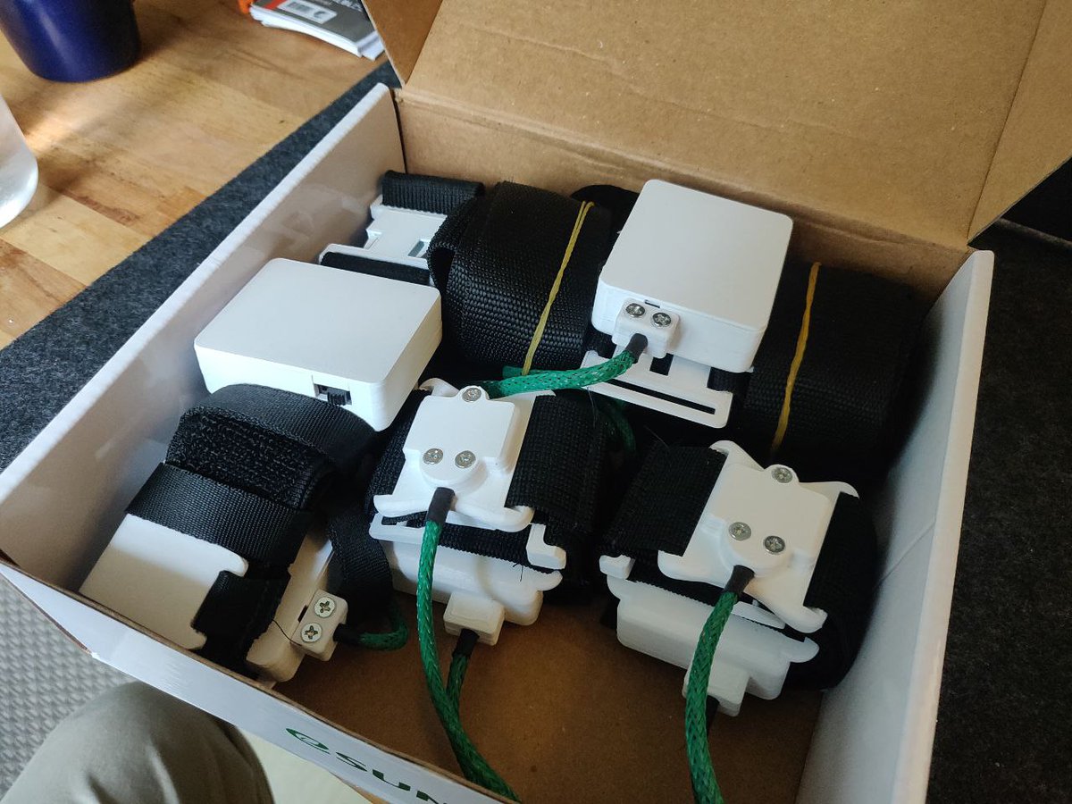 ✨LUNE✨ tweet media