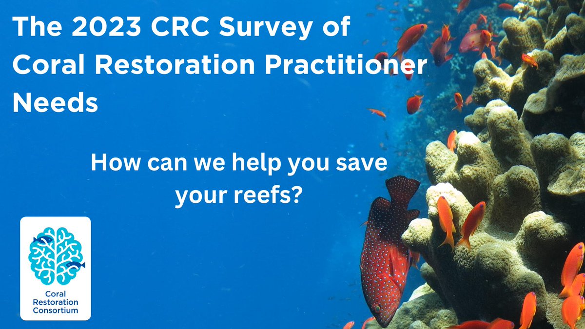 🚨ANNOUNCING!🚨The CRC SURVEY of Coral Restoration Practitioner Needs. 

Please take 10 minutes to tell us what would help you save your #reefs. We want to know what you need from us!

Link is in the bio -Please share! 
#savethereefs #coralreef 

 Photo:Sebastian Schmidt-Roach